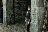 Bran in the archway.jpg (137 KB) Bran in the archway