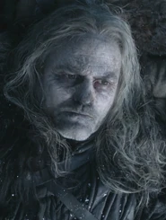 Jafer Flowers.jpg (152 KB) Jafer Flowers