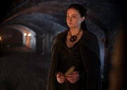 Sansa winterfell Sons of the harpy