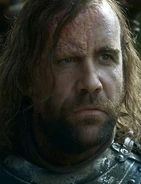 The Hound Rains of Castamere