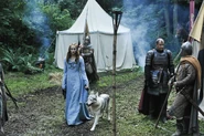 Sansa in the Camp.jpg (1.2 MB) Sansa in the Camp