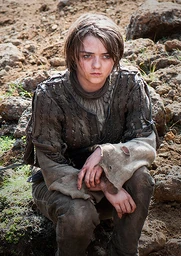 S04E10 - Arya (profile)