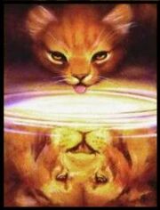 First Arc Warrior Cat Names First Arc Warrior Cat Names