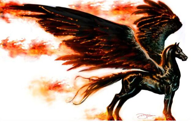 File:Pegasus !.jpg