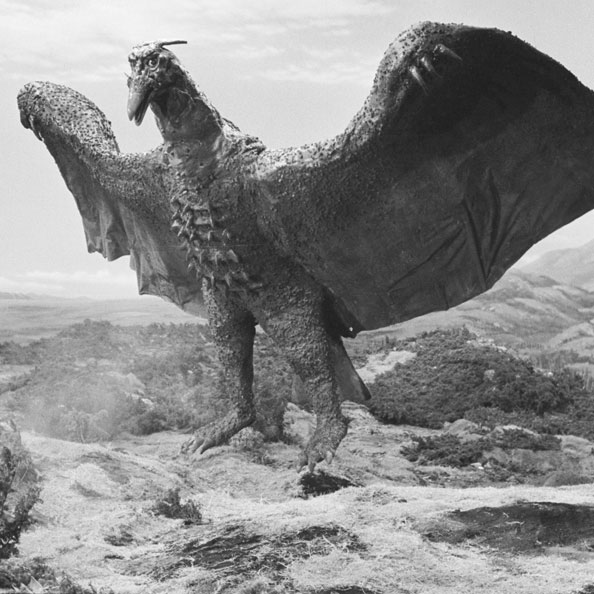 Rodan Showa Gojipedia Fandom Powered By Wikia