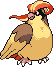 Pudgy Pidgeot