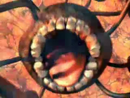 OMNOMNOM MORE GRANDIA, I SAY!