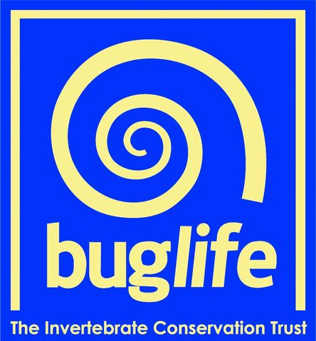 File:Buglife logo.jpg