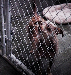 Mrs. Rodriguez | Grey's Anatomy Universe Wiki | FANDOM powered by Wikia