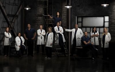 Grey's anatomy cast photo season 9