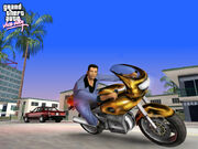 Gta Vice City.jpg