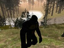 Bigfoot.jpg