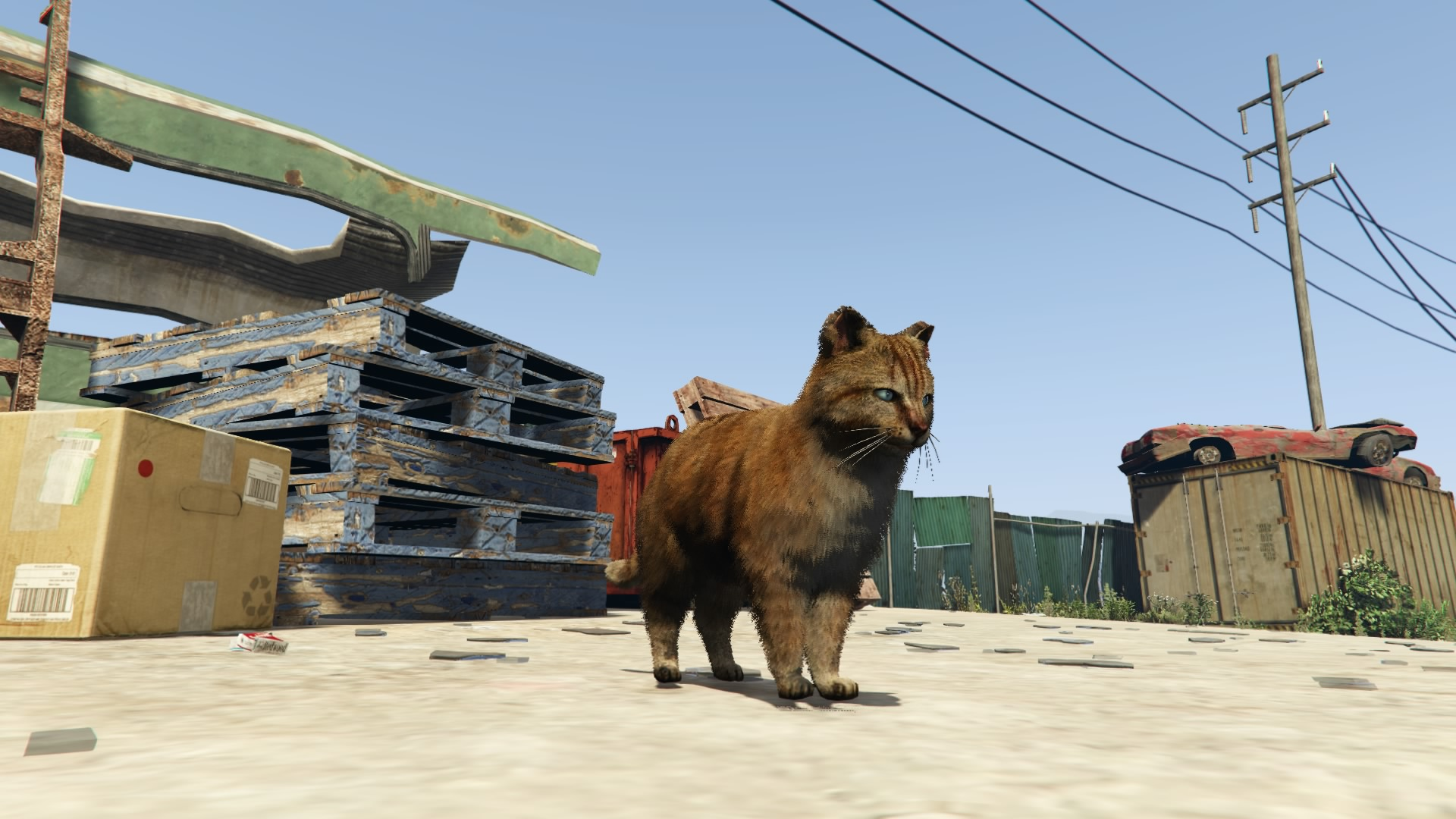 Cats GTA Wiki FANDOM powered by Wikia