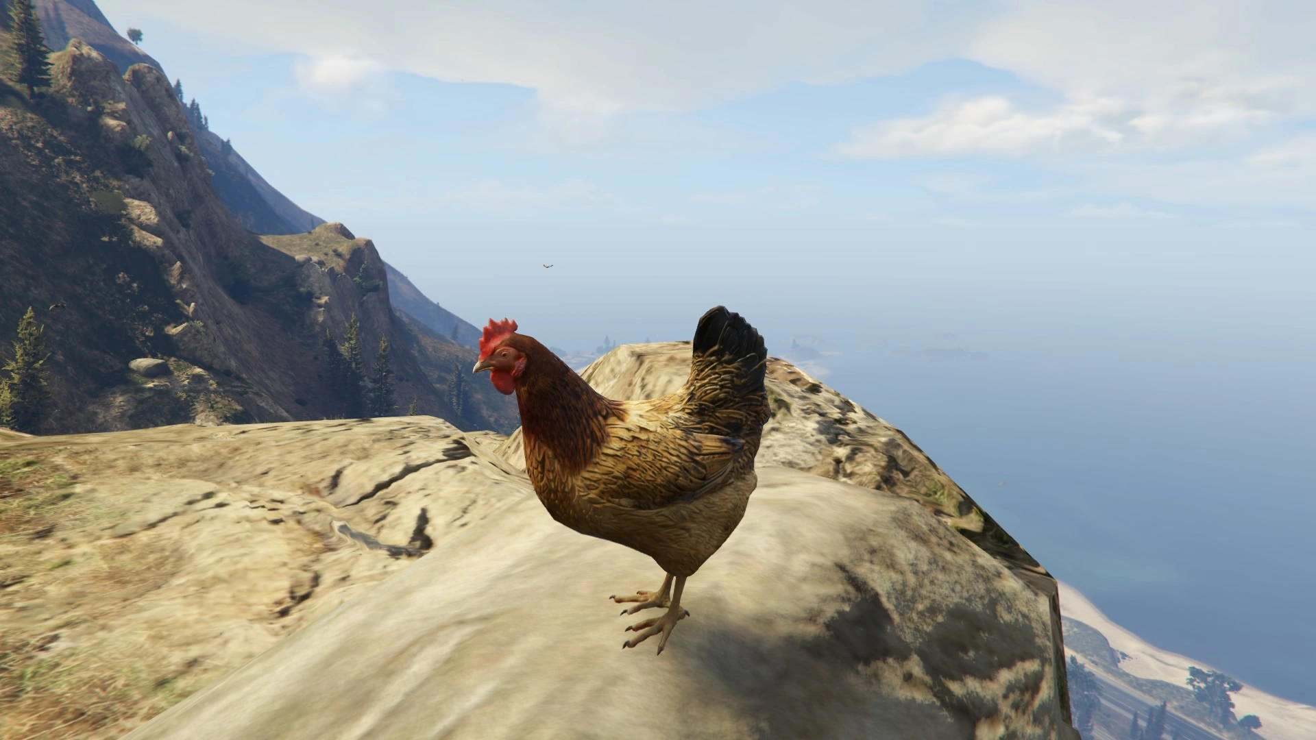 Chickens GTA Wiki FANDOM powered by Wikia