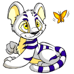 Kougra