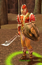 Ascalon Guard