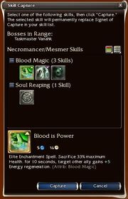 SkillcapWindow