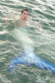Zac Tailed