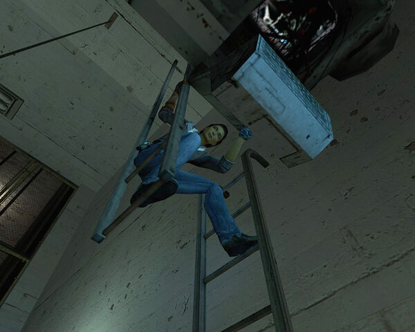 File:Bme alyxladder.jpg
