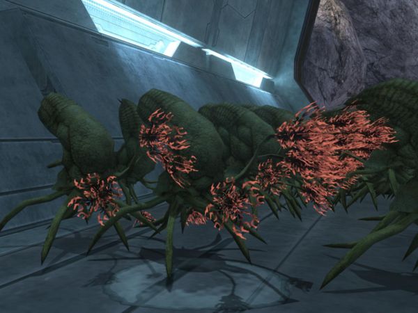Resultado de imagen para halo 3 flood