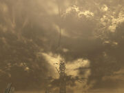 800px-Collapse 4.jpg