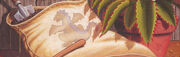 Dragon-Dung Compost.jpg