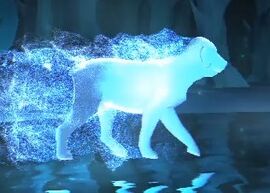 rottweiler patronus rottweiler harry potter wiki fandom powered by wikia rottweiler patronus rottweiler harry potter wiki fandom powered by wikia