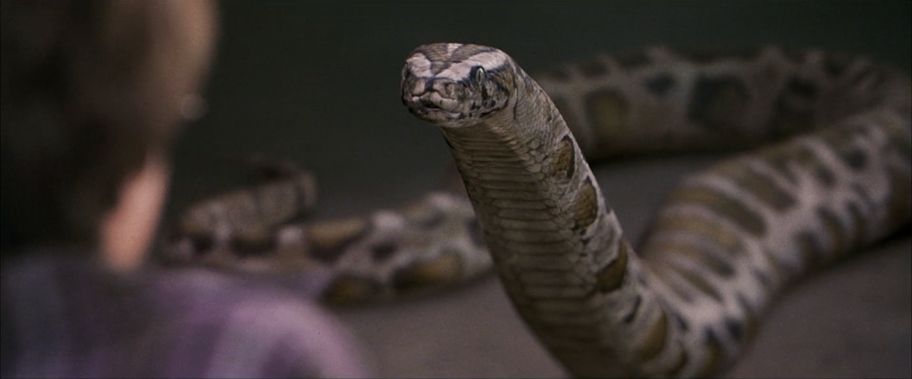 Image - Harry-Snake-PSF.png | Harry Potter Wiki | FANDOM powered by Wikia