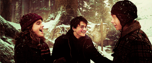 http://vignette2.wikia.nocookie.net/harrypotter/images/1/1e/Trio-3-harry-ron-and-hermione-26030628-500-207_large.gif/revision/latest?cb=20141218030336
