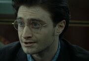 Volwassen Harry.jpg