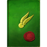 Quidditch-through-the-ages-lrg.png