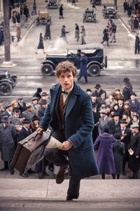 FBaWtFT Newt Scamander.jpg