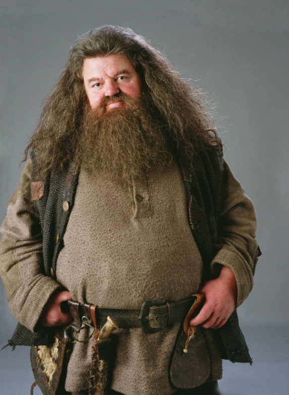 Image result for hagrid