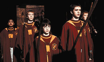 Quidditch-copy-2.jpg
