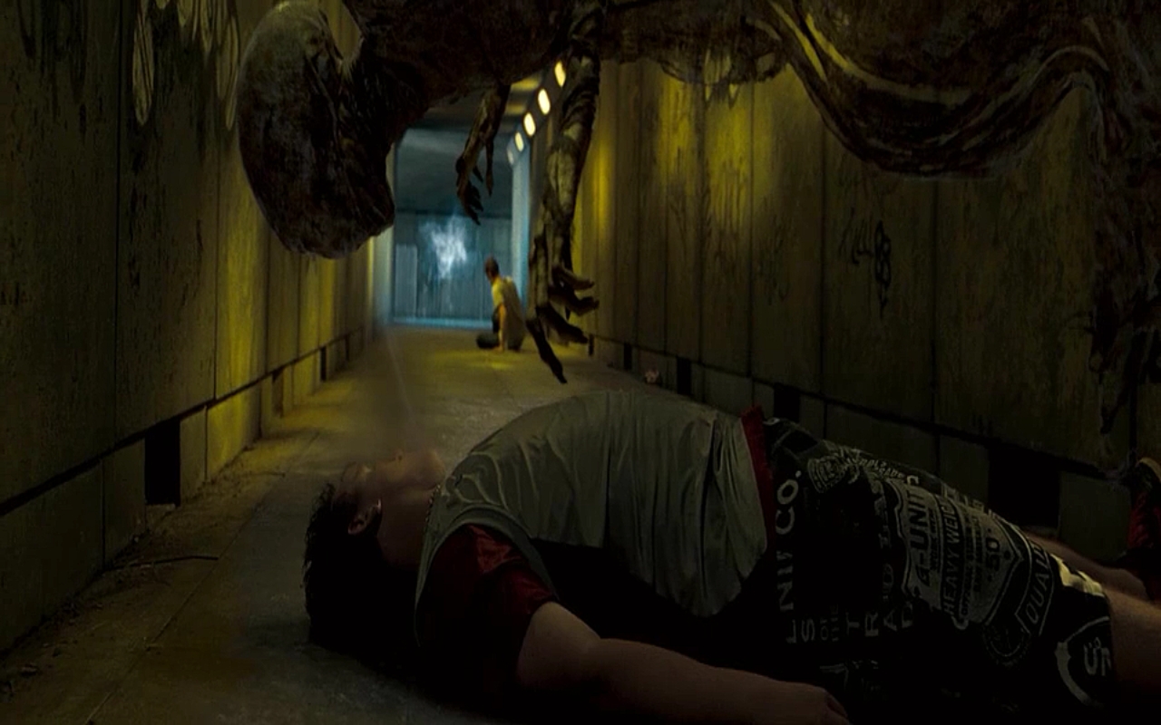 KategoriaMagiczne stworzenia Harry Potter Wiki FANDOM powered by Wikia