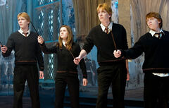 Weasleys'
