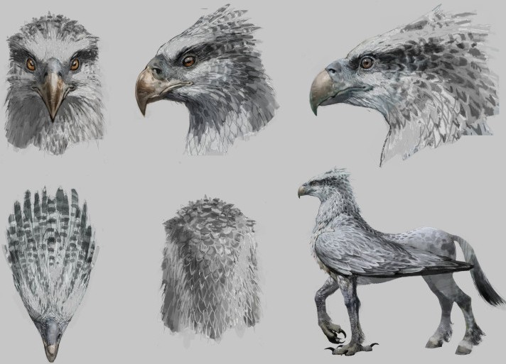 Image result for hippogriff