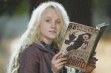 Quibbler-Luna.JPG