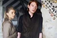 Harry-Potter-and-the-Deathly-Hallows-Part-2-Bill-Fleur.jpg