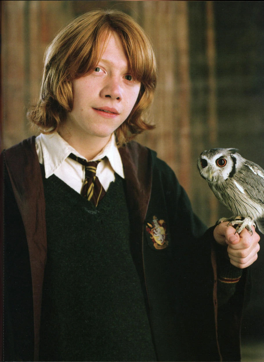 Category:Ronald Weasley's possessions | Harry Potter Wiki | FANDOM