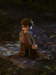 Lego Rafleur.jpg