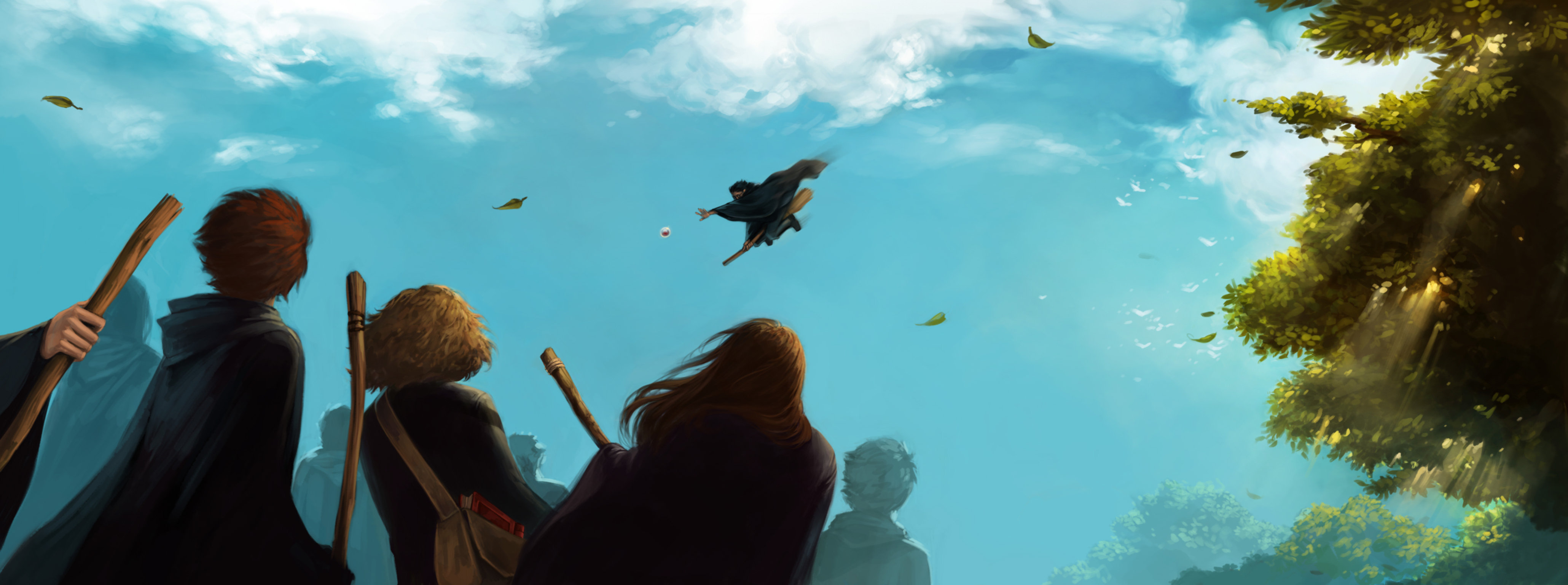 Balai volant Wiki Harry Potter FANDOM powered by Wikia