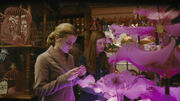 Hermione Granger et Ginny Weasley Philtre d'amour.jpg
