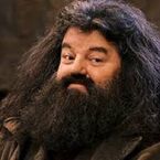 Hagrid1.jpg