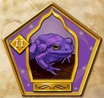 Crapaud violet géant - Chocogrenouille.jpg