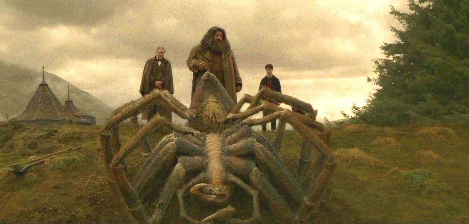 Description D Une Foret Qui Fait Peur Les mondes imaginés - Découvrir les personnages et monstres d’Harry Potter