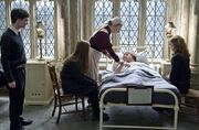 Ron Weasley being admit on the Hospital wing