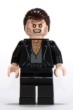 Greyback.jpg