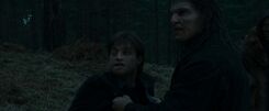 Greyback harry captured