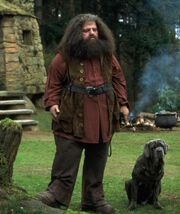 Hagrid1991.jpg